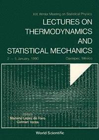 bokomslag Lectures On Thermodynamics And Statistical Mechanics - Xix Winter Meeting On Statistical Physics