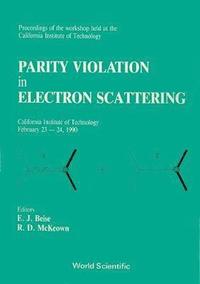 bokomslag Parity Violation In Electron Scattering - Proceedings Of The Workshop