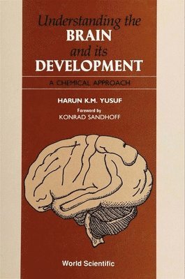 bokomslag Understanding The Brain And Its Development: A Chemical Approach