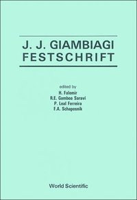 bokomslag J J Giambiagi Festschrift