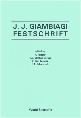 bokomslag J J Giambiagi Festschrift
