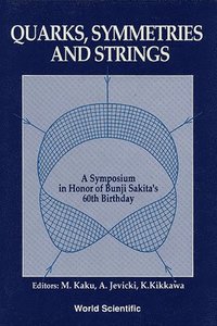 bokomslag Quarks, Symmetries and Strings