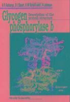 bokomslag Glycogen Phosphorylase B: Description Of The Protein Structure