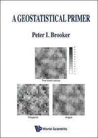 bokomslag Geostatistical Primer, A