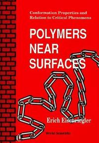 bokomslag Polymers Near Surfaces: Conformation Properties And Relation To Critical Phenomena