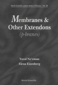 bokomslag Membranes And Other Extendons: Classical And Quanthum Mechanics Of Extended Geometrical Objects