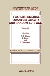 bokomslag Two Dimensional Quantum Gravity and Random Surfaces - 8th Jerusalem Winter School for Theoretical Physics