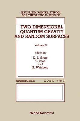bokomslag Two Dimensional Quantum Gravity And Random Surfaces - 8th Jerusalem Winter School For Theoretical Physics