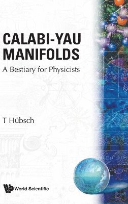 Tristan Hubsch, HUBSCH T, Hubsch T - Calabi-yau Manifolds: A Bestiary For Physicists, Inbunden