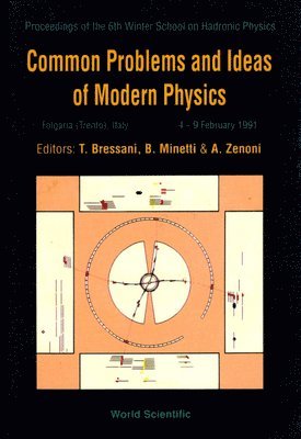 bokomslag Common Problems And Ideas Of Modern Physics - Proceedings Of The 6th Winter School On Hadronic Physics
