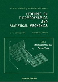 bokomslag Lectures On Thermodynamics And Statistical Mechanics - Proceedings Of The Xx Winter Meeting On Statistical Physics