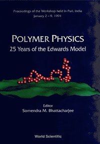 bokomslag Polymer Physics: 25 Years Of The Edwards Model - Proceedings Of The Workshop