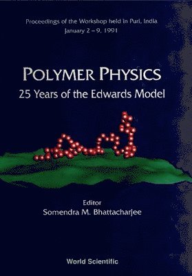 bokomslag Polymer Physics: 25 Years Of The Edwards Model - Proceedings Of The Workshop