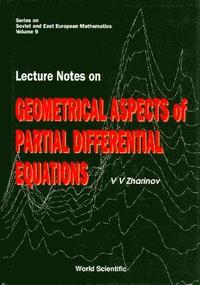 bokomslag Lecture Notes On Geometrical Aspects Of Partial Differential Equations