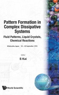 bokomslag Pattern Formation In Complex Dissipative Systems: Fluid Patterns, Liquid Crystals, Chemical Reactions