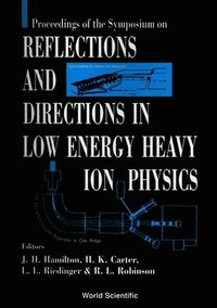 bokomslag Reflections And Directions In Low Energy Heavy-ion Physics: Celebrating Twenty Years Of Unisor And Ten Years Of The Joint Institute For Heavy Ion Research