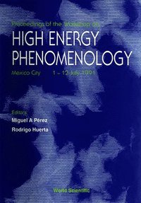 bokomslag High Energy Phenomenology - Proceedings of the Workshop