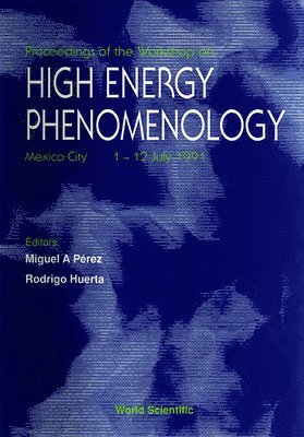 bokomslag High Energy Phenomenology - Proceedings of the Workshop