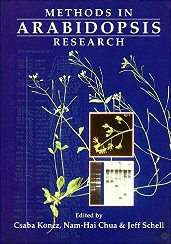 SCHELL H CHUA SCHELL C KONCZ, C Koncz, N-H Chua*, J Schell - METHODS IN ARABIDOPSIS RESEARCH, Inbunden