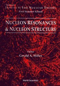bokomslag Nucleon Resonances and Nucleon Structure - Proceedings of the Institute for Nuclear Theory First Summer School