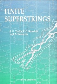 bokomslag Finite Superstrings