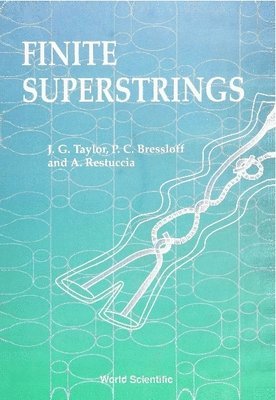 bokomslag Finite Superstrings