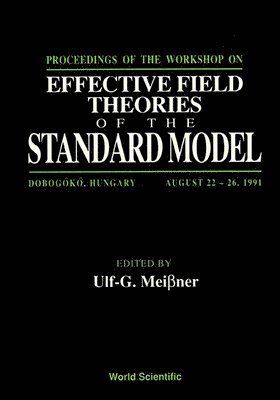 bokomslag Effective Field Theories Of The Standard Model - Proceedings Of The Workshop