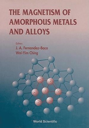 FERNANDEZ-BACA J A, Wai-yim Ching, Jaime A Fernandez-baca, Wai-Yim Ching, Jaime A. Fernandez-Baca, Jaime A Fernandez-Baca - Magnetism Of Amorphous Metals And Alloys, The, Inbunden