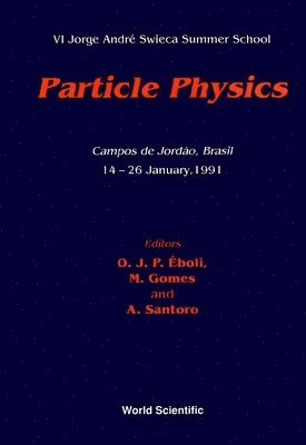 bokomslag Particle Physics - VI Jorge Andre Swieca Summer School