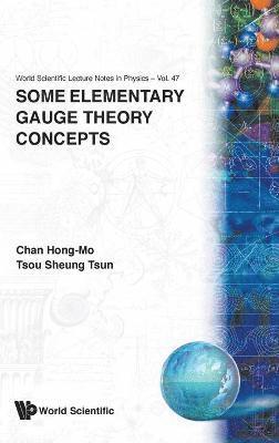 bokomslag Some Elementary Gauge Theory Concepts