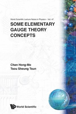 Hong-Mo Chan, Sheung Tsun Tsou - SOME ELEMENTARY GAUGE THEORY CONCEPTS, Häftad