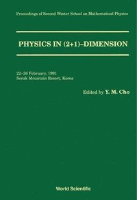bokomslag Physics in 2+1 Dimension - Proceedings of the 2nd Winter School on Mathematical Physics