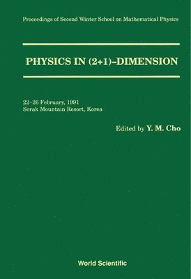 bokomslag Physics in 2+1 Dimension - Proceedings of the 2nd Winter School on Mathematical Physics