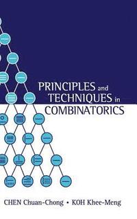 bokomslag Principles and Techniques in Combinatorics