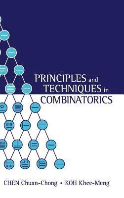bokomslag Principles and Techniques in Combinatorics