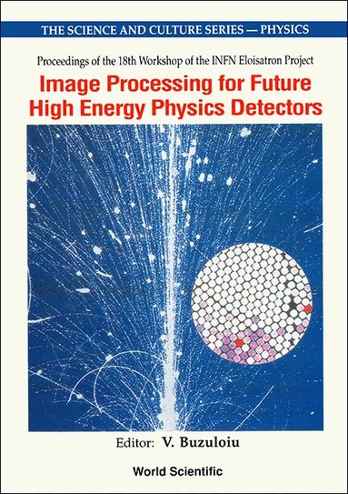 V BUZULOIU, V Buzuloiu - IMAGE PROCESSING FOR FUTURE HIGH ENERGY PHYSICS DETECTORS - PROCEEDINGS OF THE 18TH WORKSHOP OF THE INFN ELOISATRON PROJECT, Inbunden