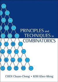 bokomslag Principles And Techniques In Combinatorics