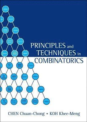 bokomslag Principles And Techniques In Combinatorics
