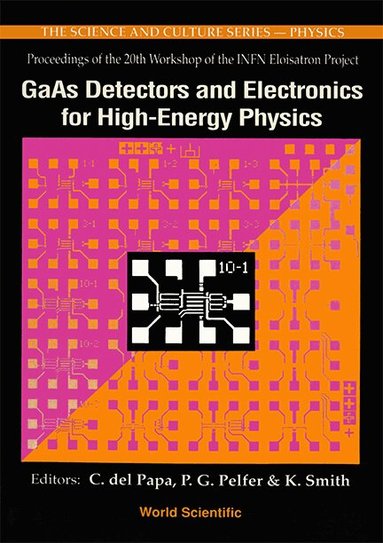 SMITH G PELFER ELFER SMITH C DEL PAPA, C del Papa, P G Pelfer, K Smith - GAAS DETECTORS AND ELECTRONICS FOR HIGH ENERGY PHYSICS - PROCEEDINGS OF THE 20TH INFN ELOISATRON PROJECT WORKSHOP, Inbunden