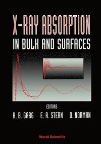 bokomslag X-ray Absorption In Bulk And Surfaces - Proceedings Of The International Workshop