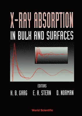 bokomslag X-ray Absorption In Bulk And Surfaces - Proceedings Of The International Workshop