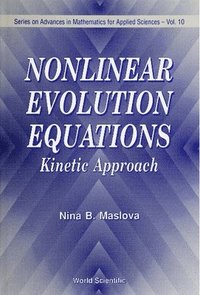 bokomslag Nonlinear Evolution Equations: Kinetic Approach