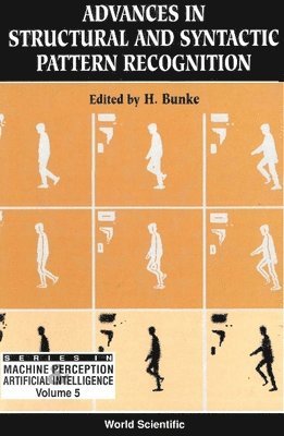 bokomslag Advances In Structural And Syntactic Pattern Recognition - Proceedings Of The International Workshop