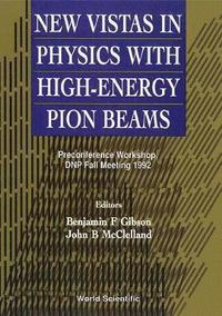 bokomslag New Vistas In Physics With High-energy Pion Beams - Preconference Workshop, Dnp Fall Meeting 1992