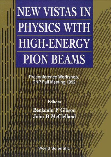 GISON F GIBSON GISON J B MCCLELLAND, B F Gibson, J B McClelland - NEW VISTAS IN PHYSICS WITH HIGH-ENERGY PION BEAMS - PRECONFERENCE WORKSHOP, DNP FALL MEETING 1992, Inbunden