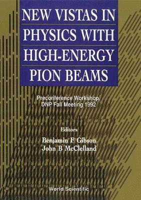 bokomslag New Vistas In Physics With High-energy Pion Beams - Preconference Workshop, Dnp Fall Meeting 1992