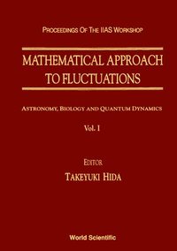 bokomslag Mathematical Approach To Fluctuations - Proceedings Of The Kyoto Workshop