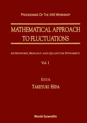 TAKEYUKI HIDA, T Hida - MATHEMATICAL APPROACH TO FLUCTUATIONS - PROCEEDINGS OF THE KYOTO WORKSHOP, Inbunden