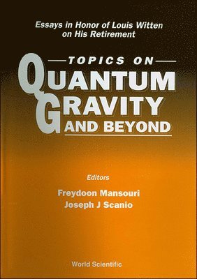 bokomslag Topics On Quantum Gravity And Beyond: Essays In Honor Of Louis Witten On His Retirement