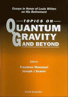 SCANIO J SCANIO F MANSOURI, Freydoon Mansouri, Joseph J G Scanio, Joseph J. G. Scanio - Topics On Quantum Gravity And Beyond: Essays In Honor Of Louis Witten On His Retirement, Inbunden